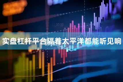 实盘杠杆平台隔着太平洋都能听见响