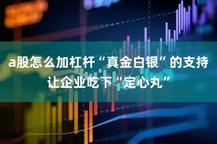 a股怎么加杠杆“真金白银”的支持让企业吃下“定心丸”