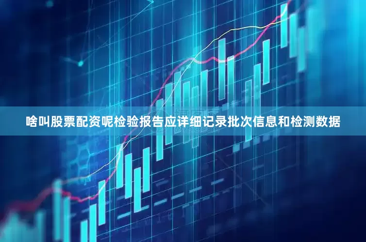 啥叫股票配资呢检验报告应详细记录批次信息和检测数据
